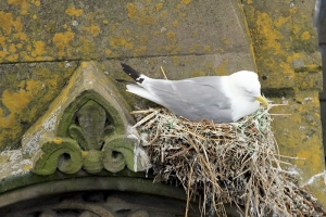 Phoenix House - Newcastle Quayside