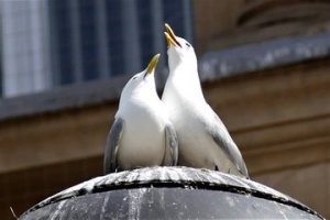 Street Lighting - Newcaslte Quayside