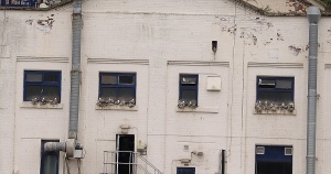 Akzo-Nobel-Tyne-Kittiwakes-11th-July-2021-b