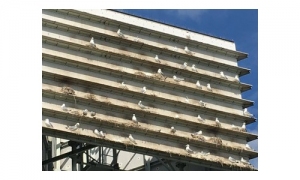 Andrew-Rickeard-Kittiwake-Tower-4-Aug-19-LU