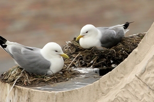 Newcastle Quayside - elsewhere