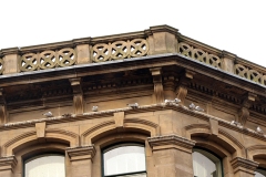 Queen-Street-Tyne-Kittiwakes-2nd-April-2024-a