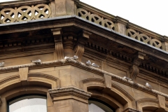 Tyne-Kittiwakes-2nd-April-2024-e