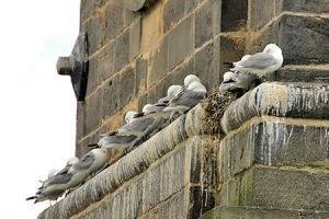 St Marys Heritage Centre - Gateshead