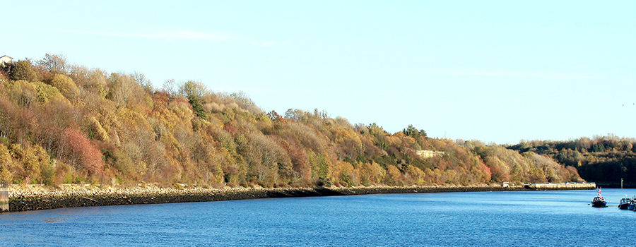 Riverside Park, Walker.