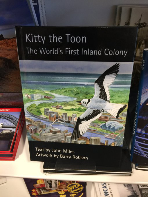 Kitty the Toon - The Worlds First Inland Colony Kitty the Toon - The Worlds First Inland Colony
