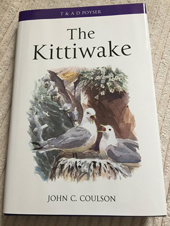 The Kittiwake - by John C Coulson